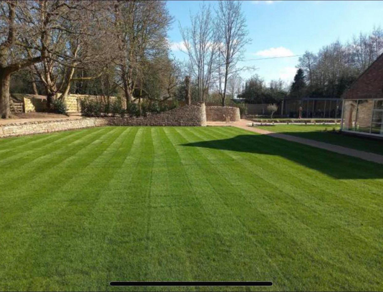 Elegant garden pathway and planting